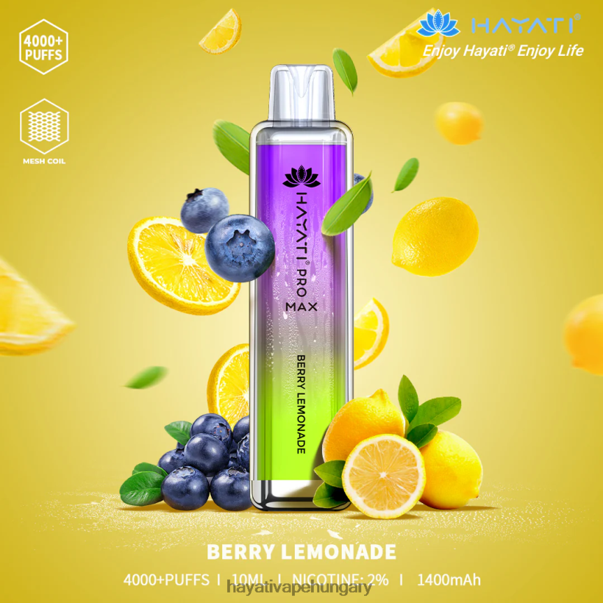 bogyós limonadé
