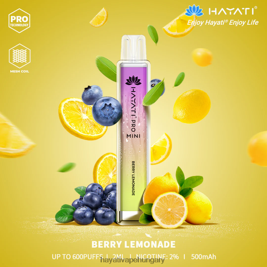 bogyós limonadé